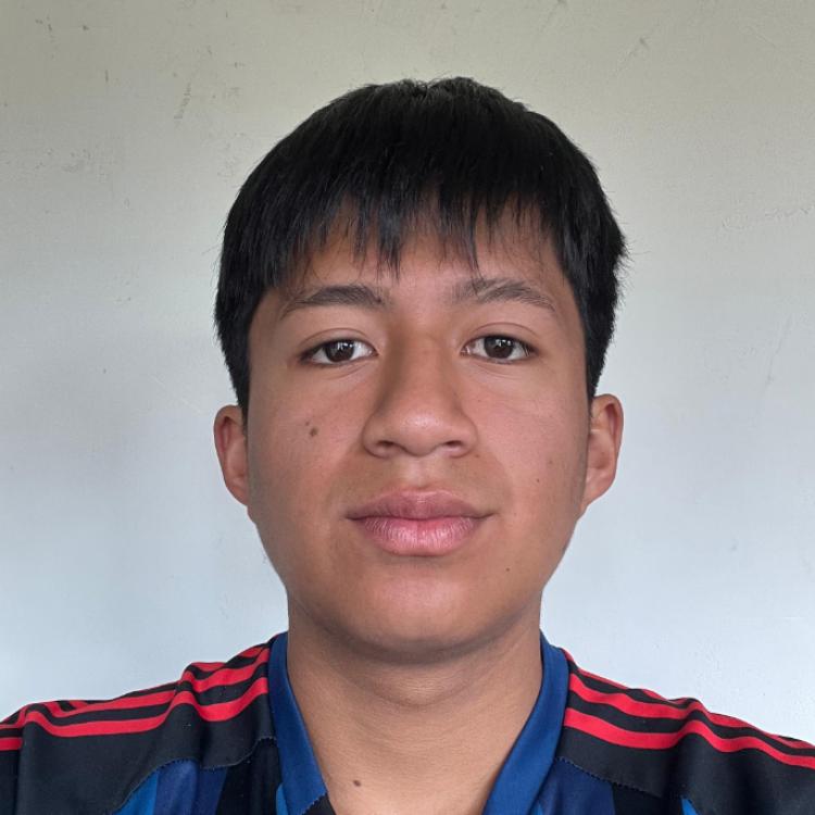 User Image
